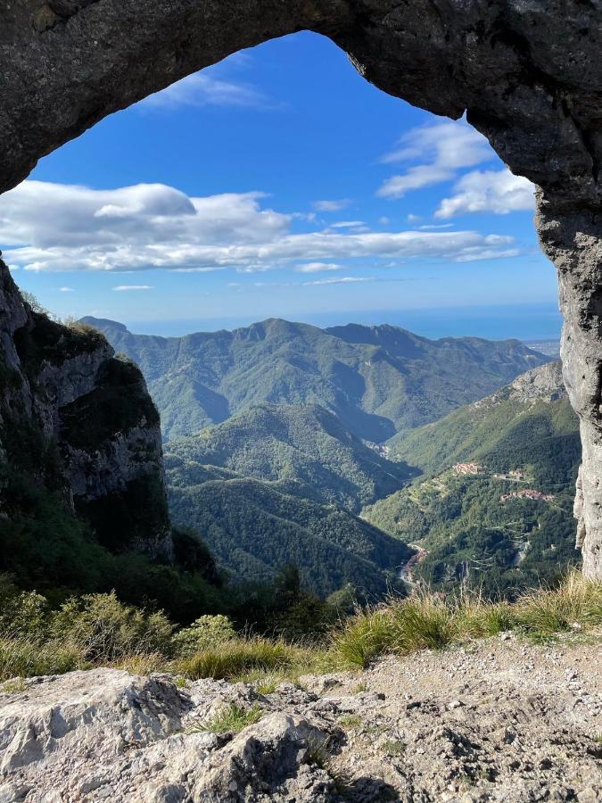 In Castello Otel Gallicano Dış mekan fotoğraf